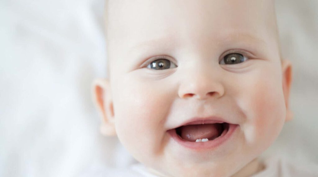 A baby's first teeth